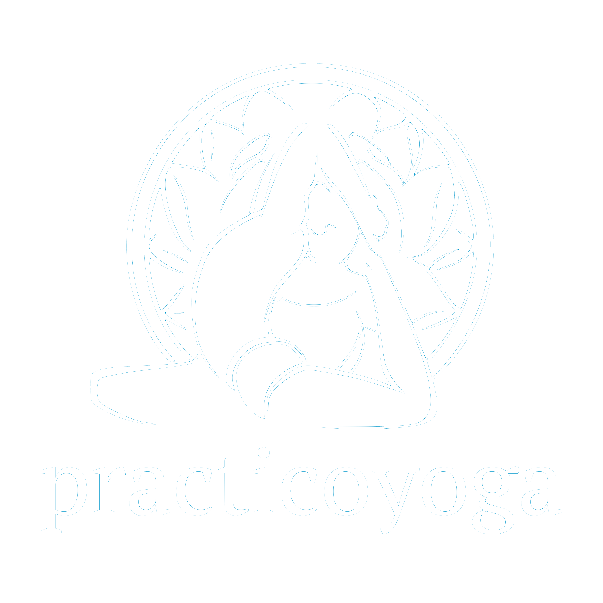 Escuela de Yoga Iyengar